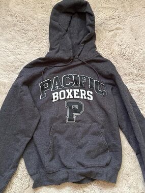 Champion Dark Gray 'Pacific Boxers' Crewneck Hoodie